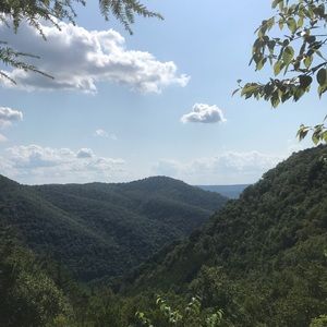 Meet your Posher, Noah